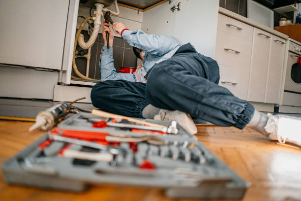 Best Commercial Plumbing Services  in Maquoketa, IA