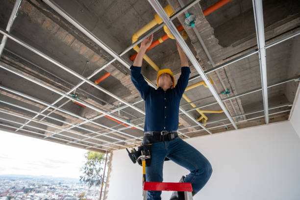Best Clogged Drain Plumber  in Maquoketa, IA