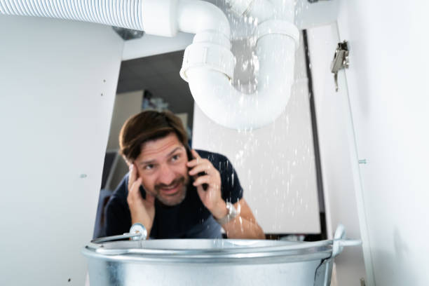 Best Septic Systems  in Maquoketa, IA