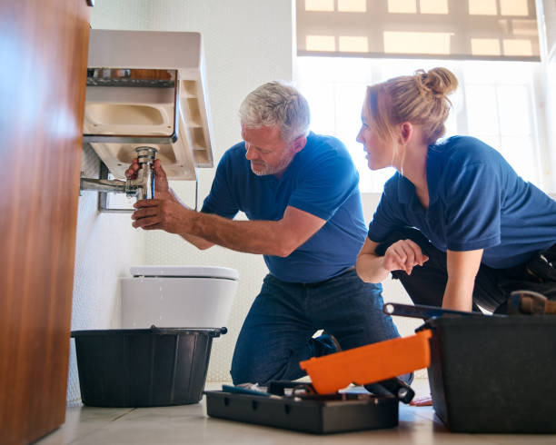 Best Affordable Plumber Near Me  in Maquoketa, IA