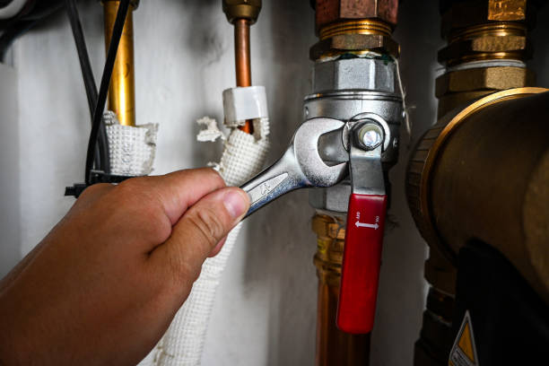 Best Shower Repair Services  in Maquoketa, IA